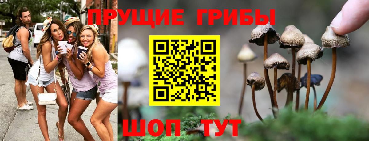 Галлюциногенные грибы MAGIC MUSHROOMS  Вход с VPN  купить закладку  Галлюциногенные грибы Magic Shrooms  Ступино 